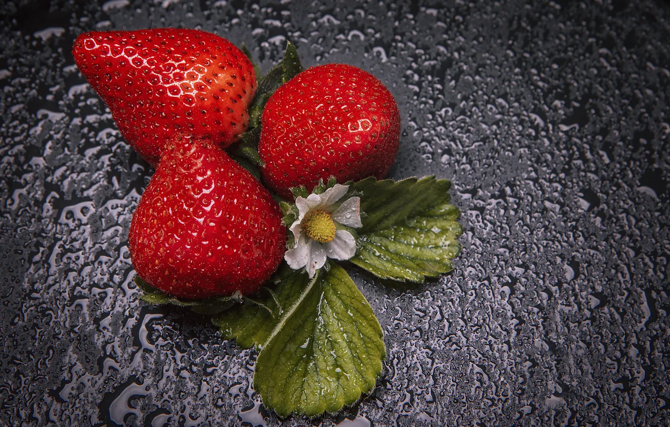Photo wallpaper water, drops, flowers, berries, background, strawberry, leaves