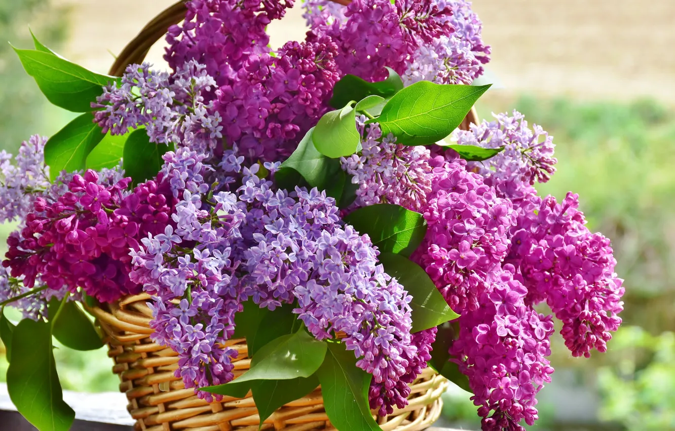 Photo wallpaper flowers, bouquet, Basket, lilac