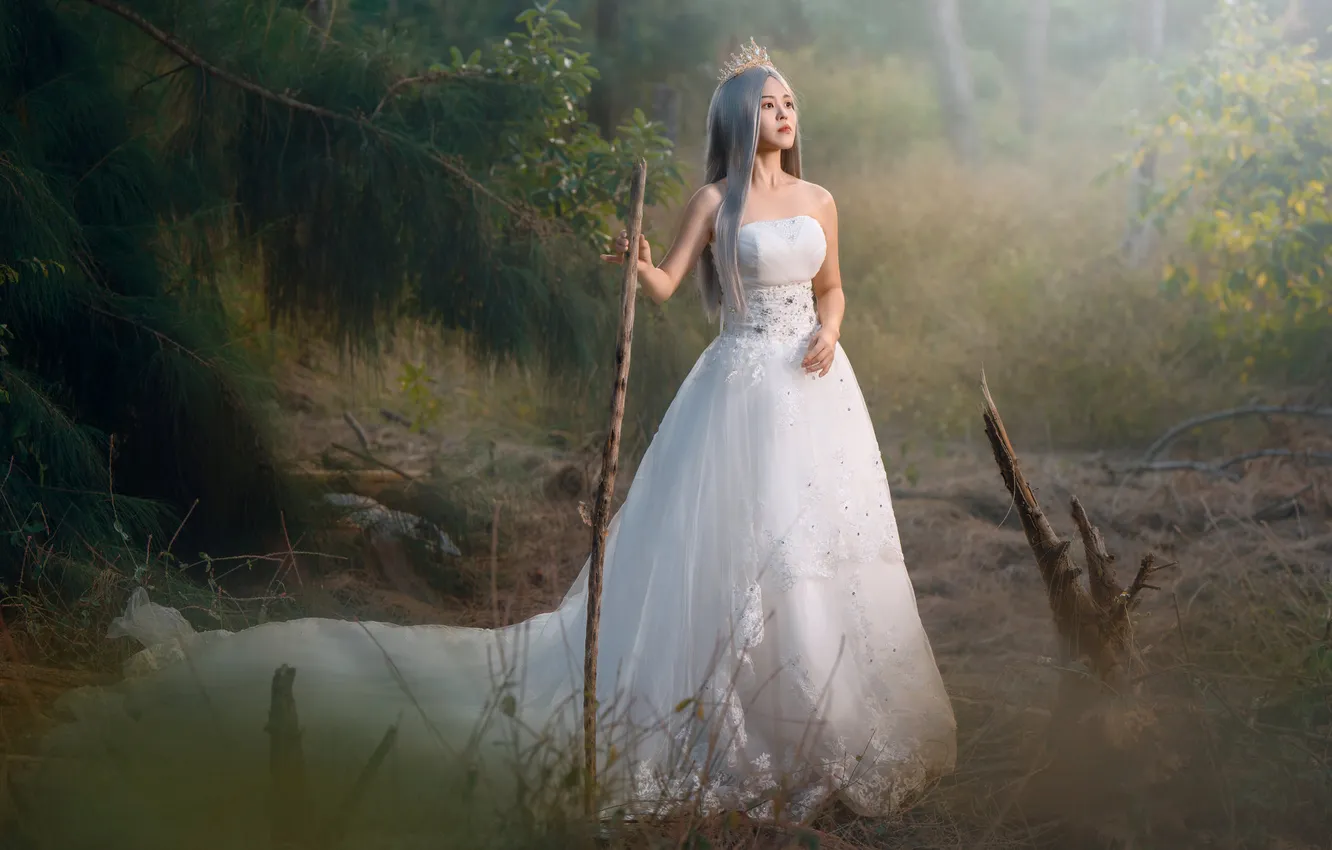 Photo wallpaper look, girl, decoration, trees, branches, nature, pose, fog