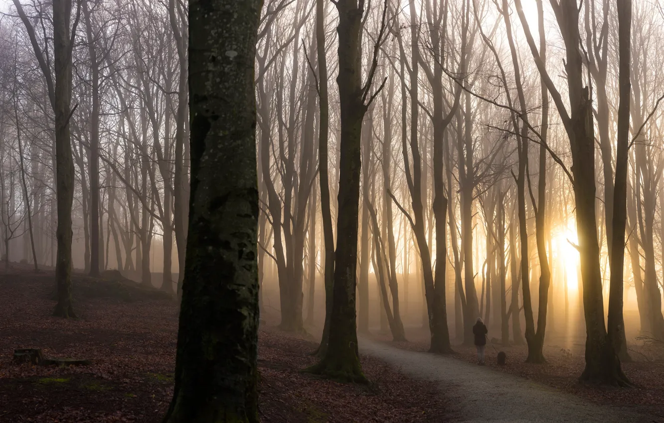 Photo wallpaper road, autumn, forest, leaves, girl, the sun, rays, light