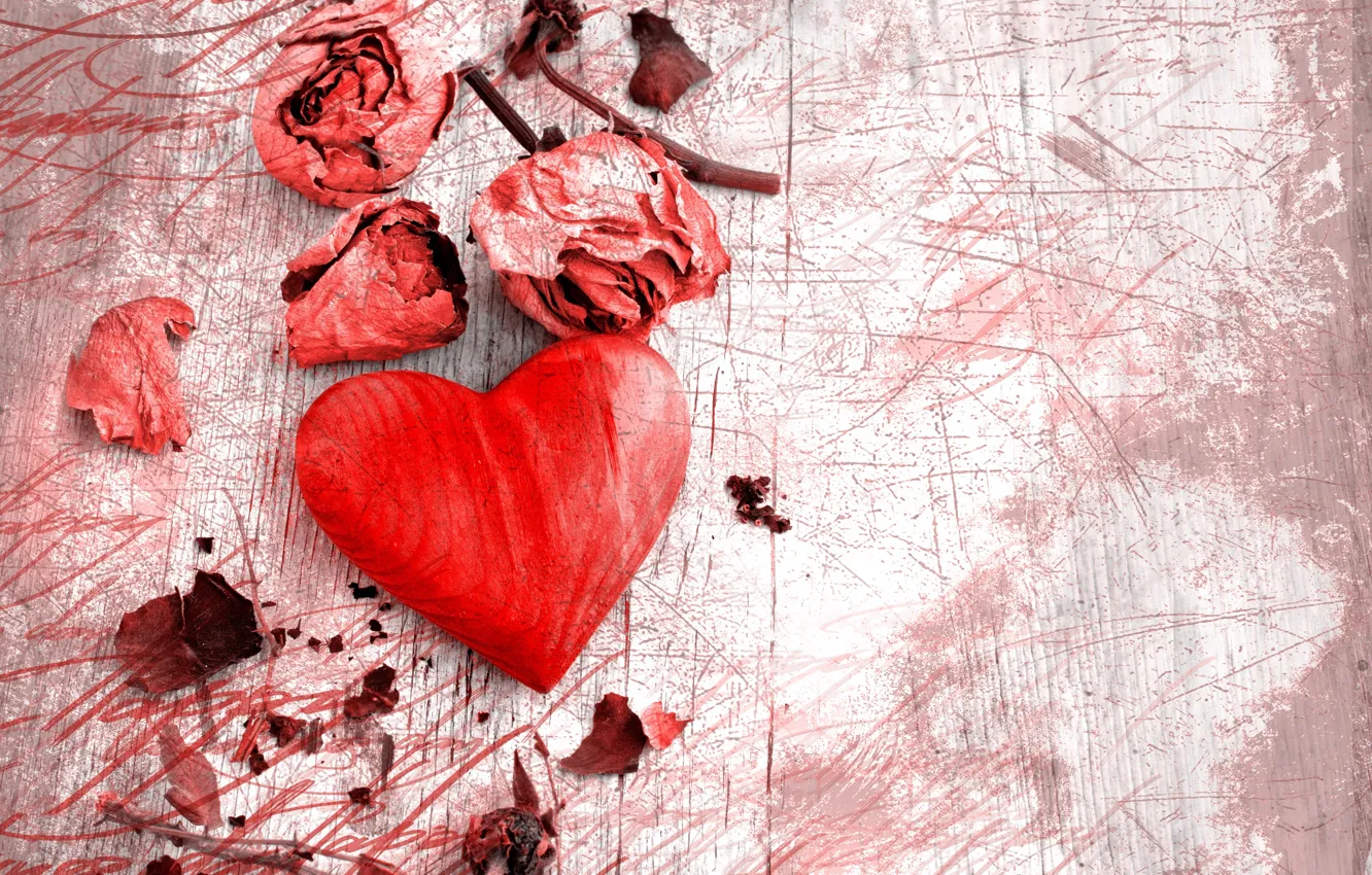 Photo wallpaper rose, petals, heart