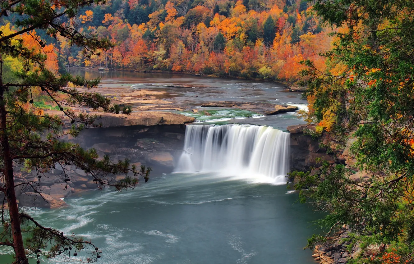 Photo wallpaper autumn, forest, trees, nature, river, waterfall, USA