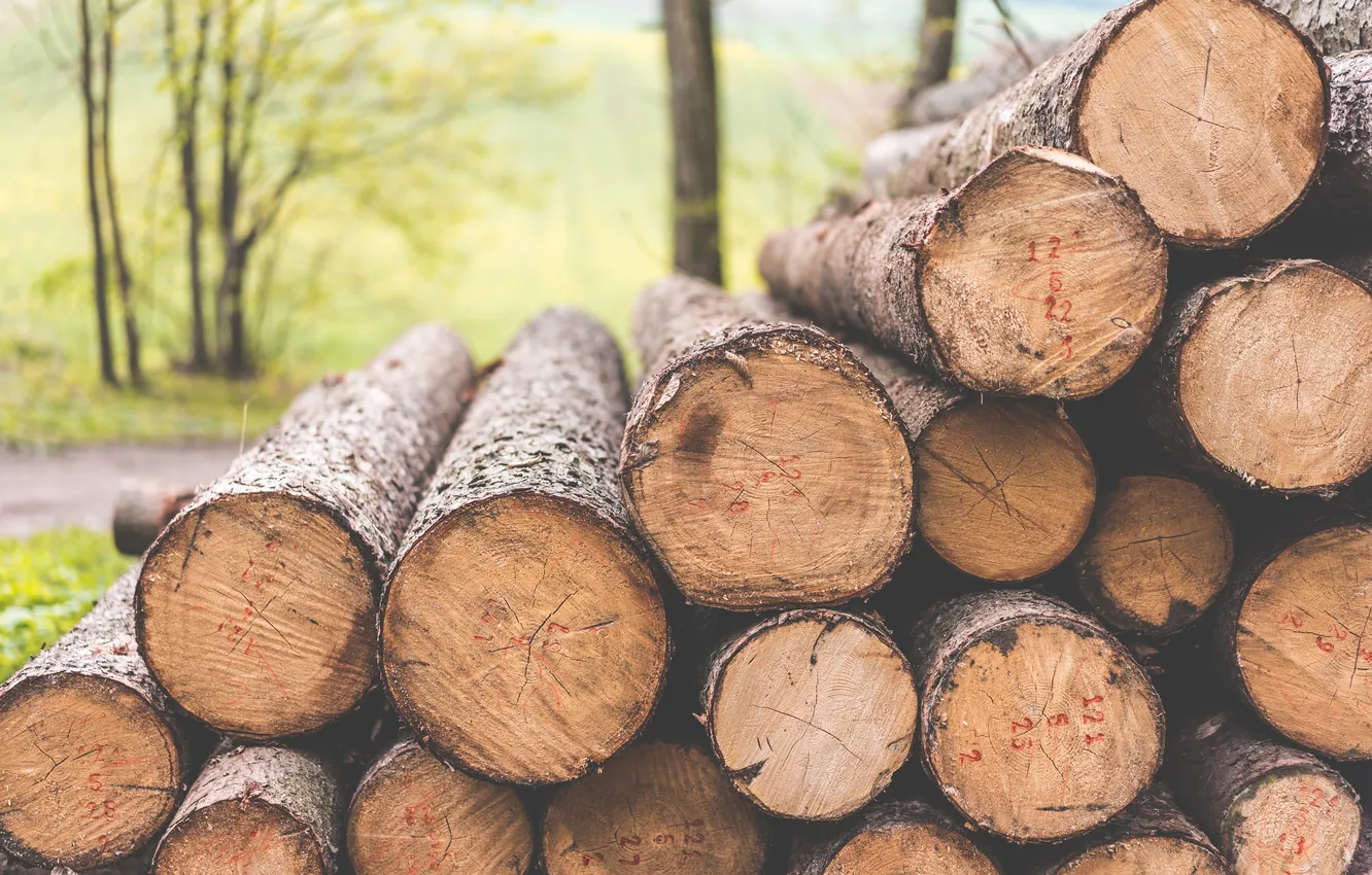 Photo wallpaper wood, logs, Pile