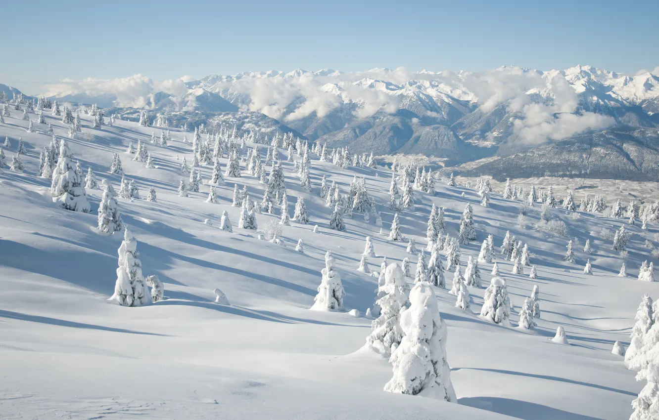 Photo wallpaper winter, snow, trees, landscape, mountains, nature, hills, tree