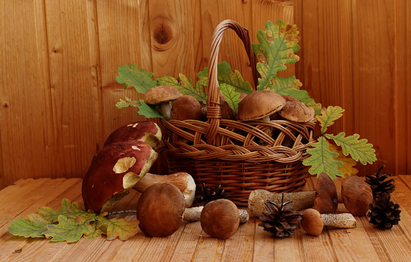 Photo wallpaper autumn, mushrooms, still life, Borovik, boletus