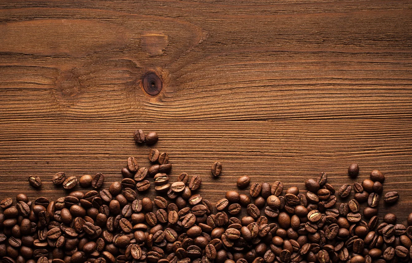 Photo wallpaper tree, coffee, coffee