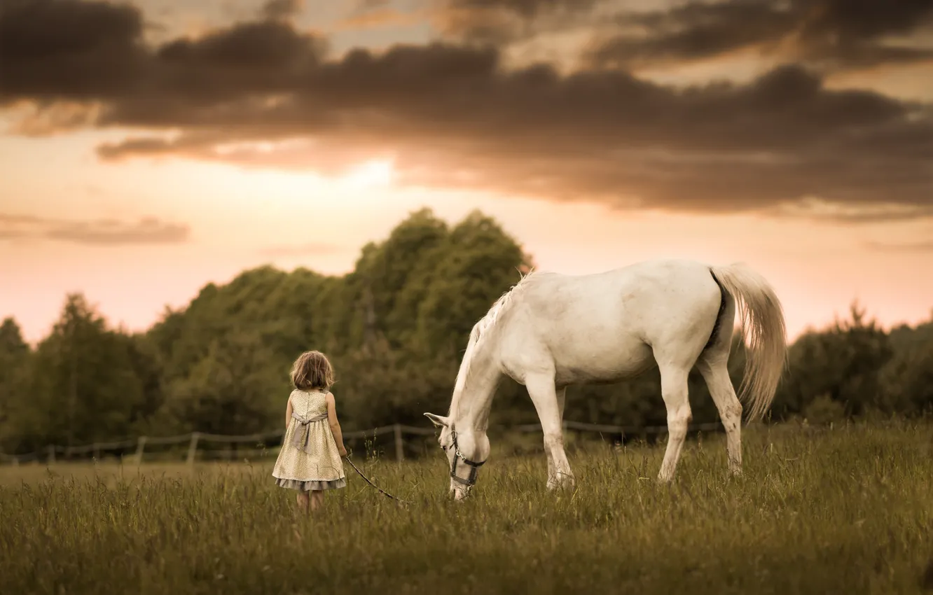 Photo wallpaper horse, meadow, girl