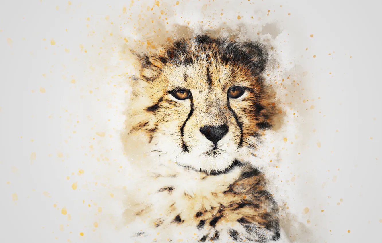 Photo wallpaper look, face, picture, watercolor, leopard