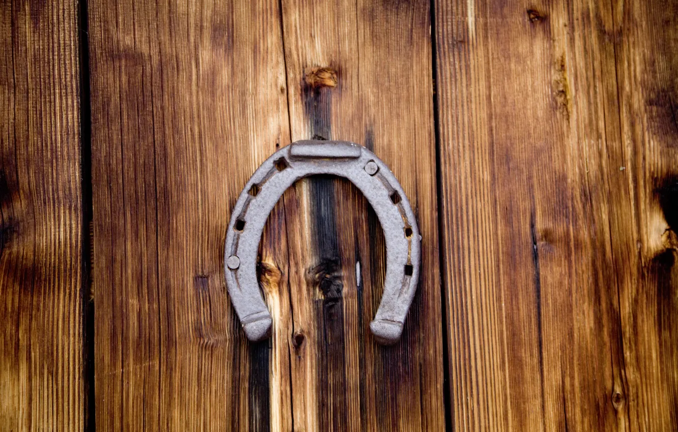 Photo wallpaper happiness, photographer, horseshoe, markus spiske, guardian