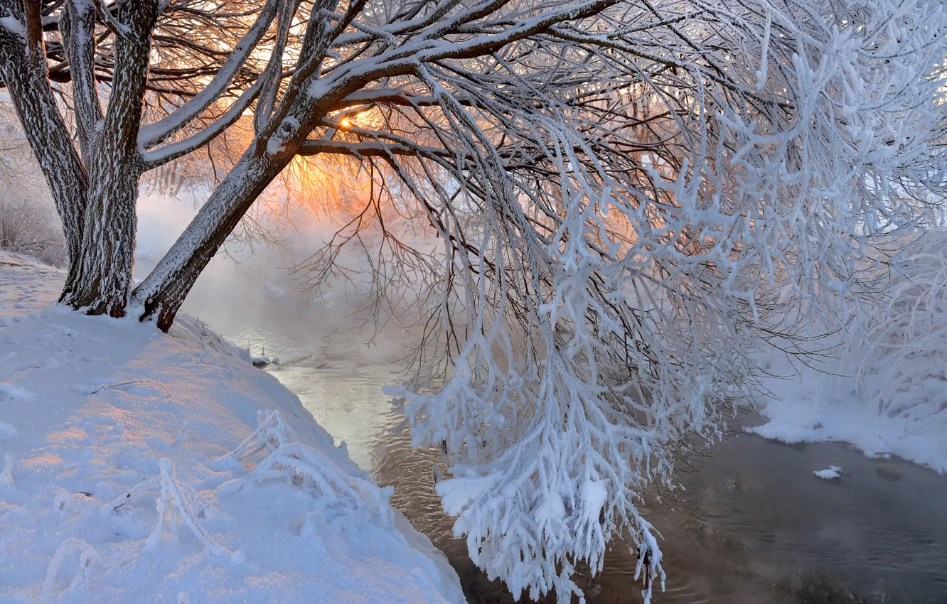 Photo wallpaper winter, trees, landscape, sunset, mountains, nature, river, snow