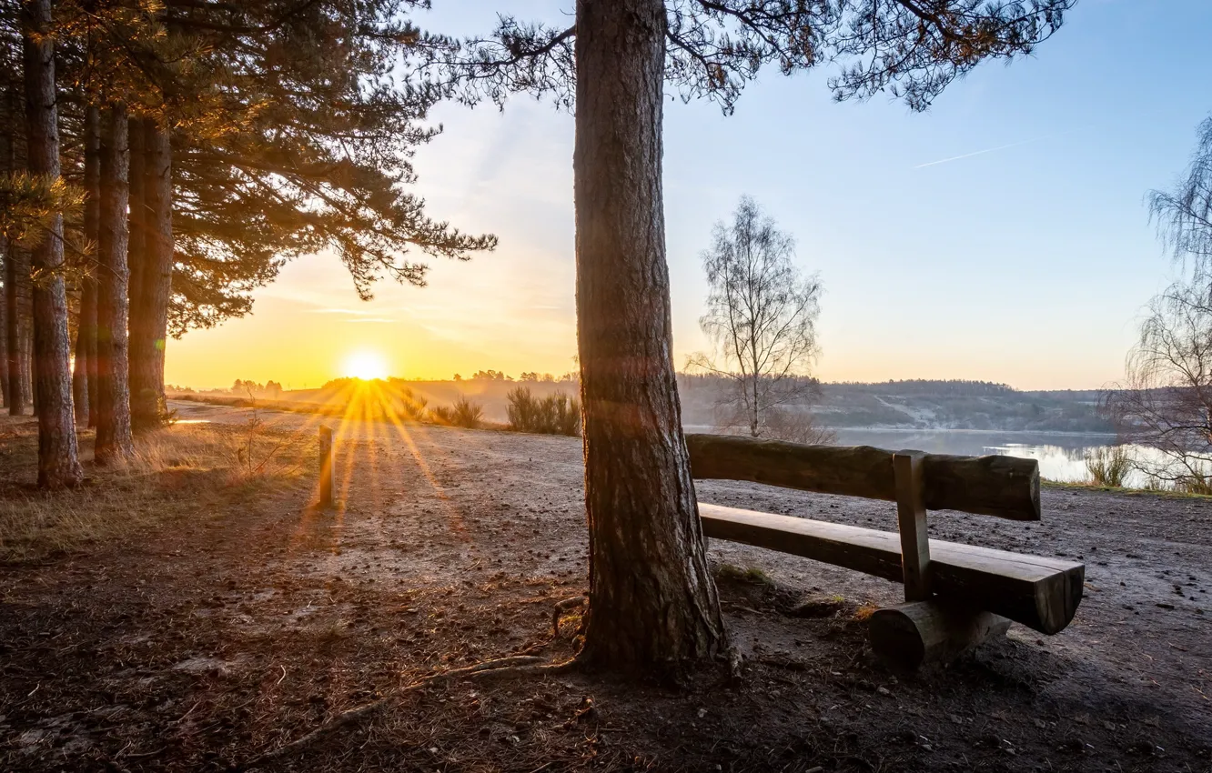 Photo wallpaper Park, shore, bench