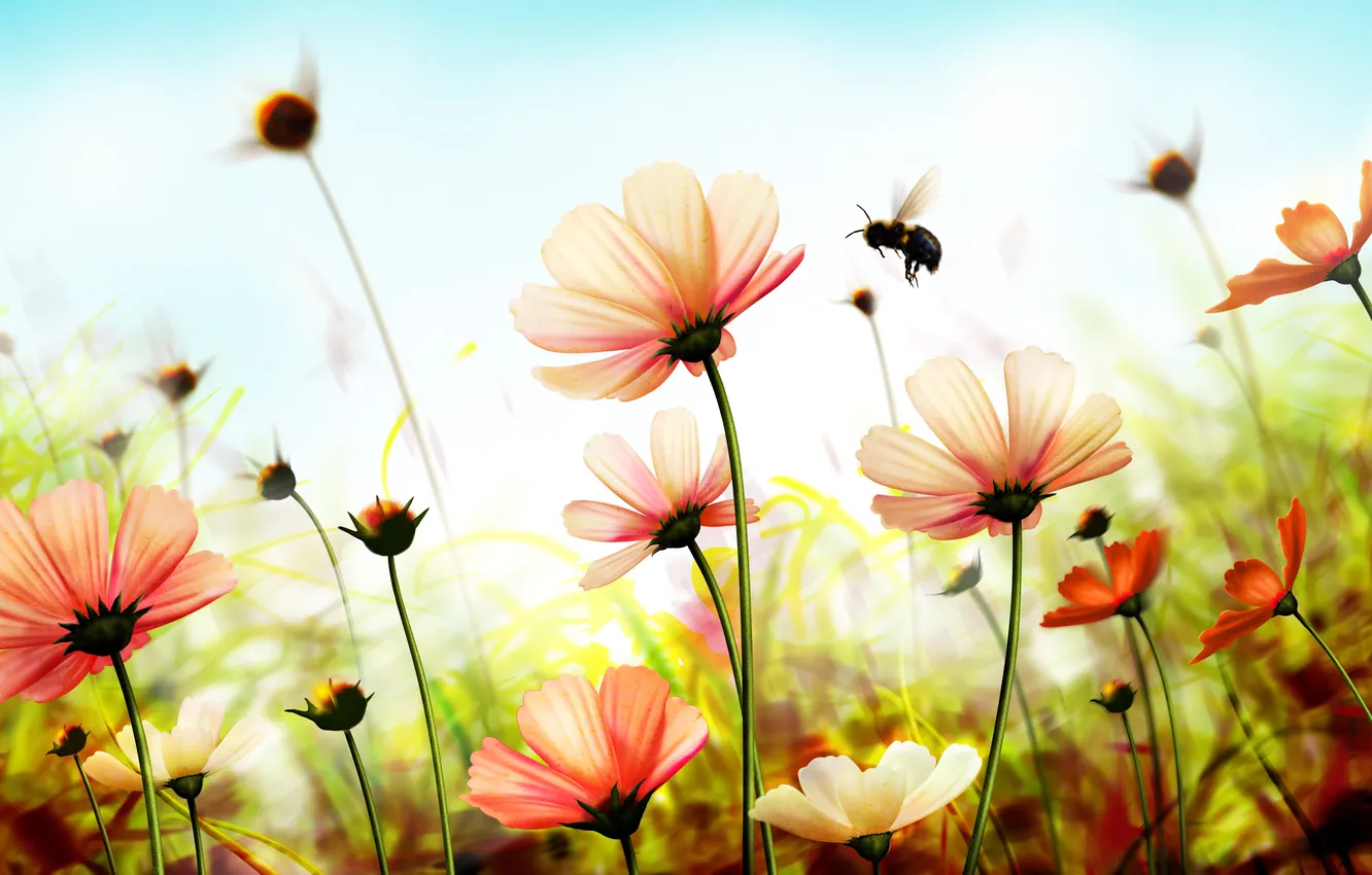 Photo wallpaper flowers, bee, spring, petals, bumblebee, flowers, spring
