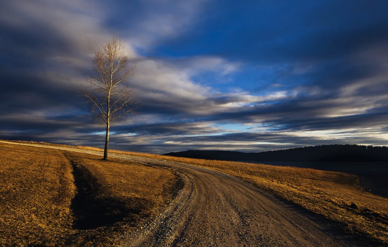 Photo wallpaper road, trees, landscape