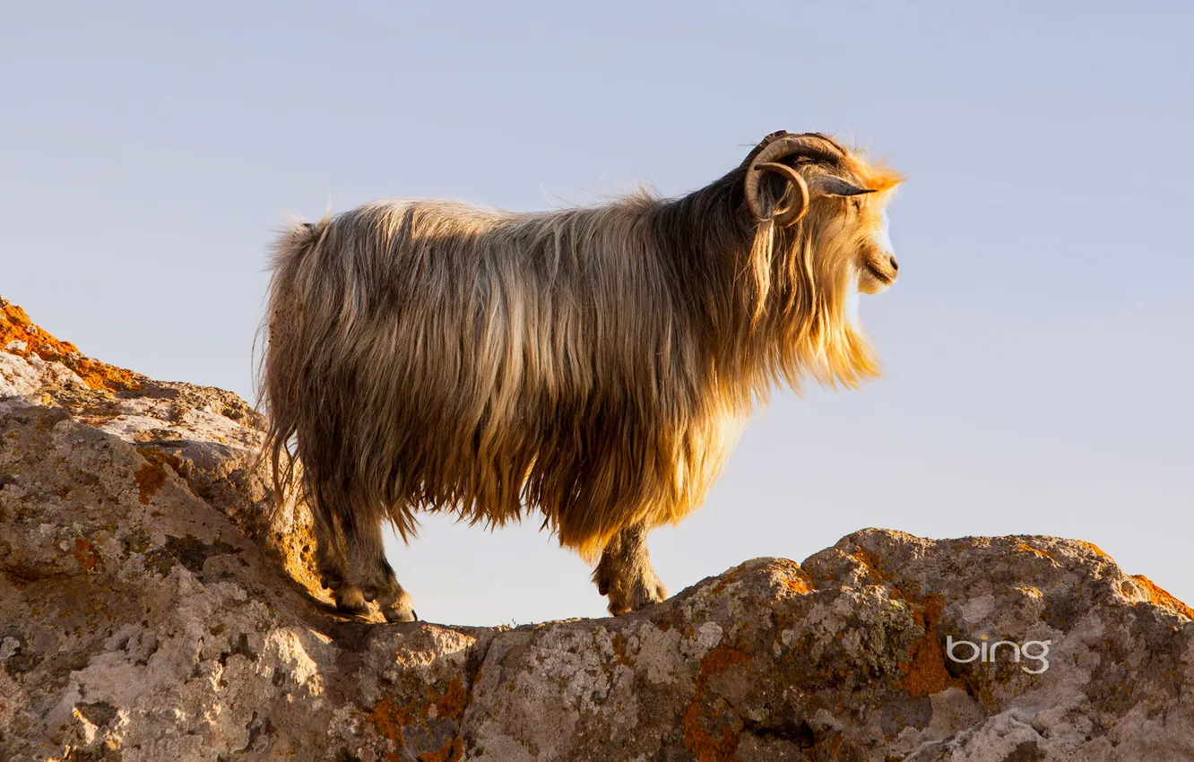 Photo wallpaper the sky, mountains, rock, island, Greece, goat, Lemnos