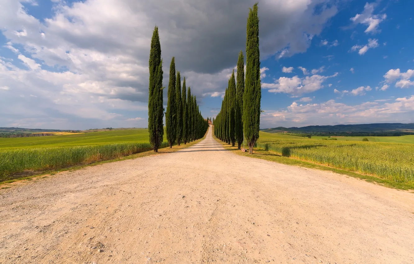 Photo wallpaper road, summer, the sky