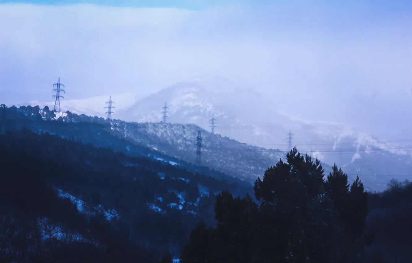 Photo wallpaper trees, mountains, fog, wire