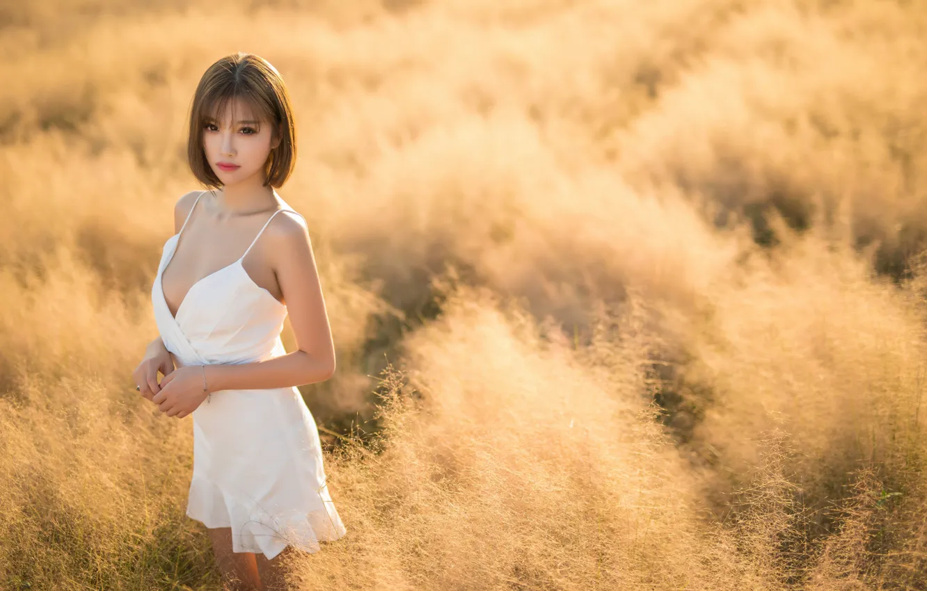 Photo wallpaper field, grass, look, the sun, model, portrait, makeup, dress