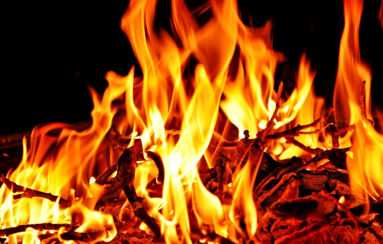 Photo wallpaper nature, Fire, quietly