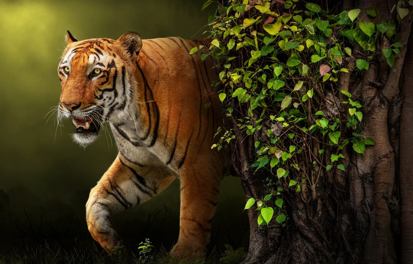Photo wallpaper nature, tiger, animal, predator, art, beast