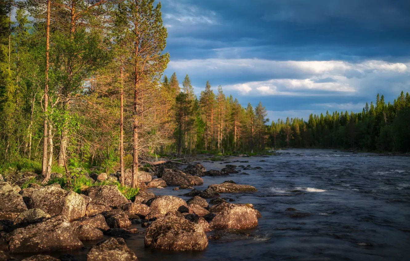 Photo wallpaper forest, the sun, clouds, trees, river, stones, Sweden, bokeh
