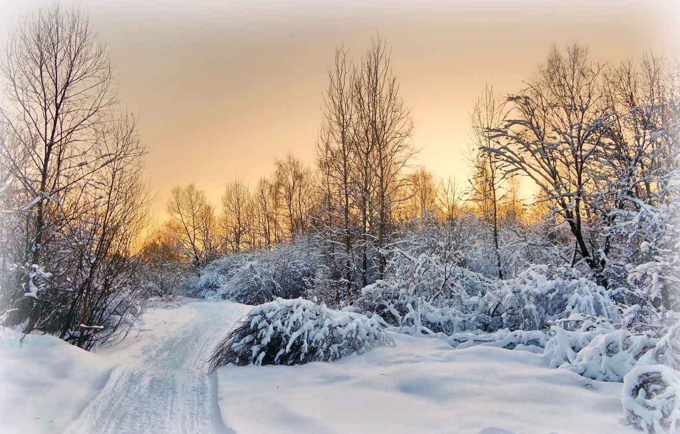 Photo wallpaper winter, road, snow, landscape, sunset, the evening, village, the suburbs