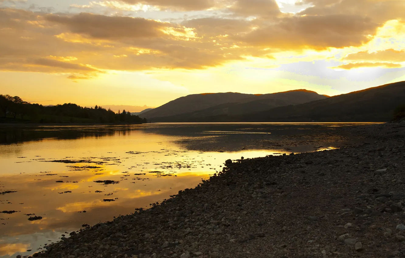 Photo wallpaper forest, sunset, lake, hills