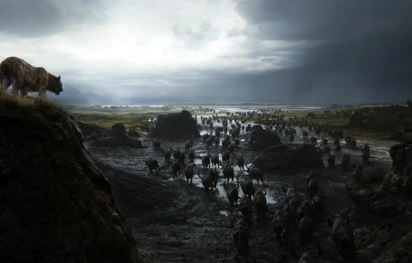 Photo wallpaper landscape, tiger, the herd, The Jungle Book, Sherkhan, The jungle book