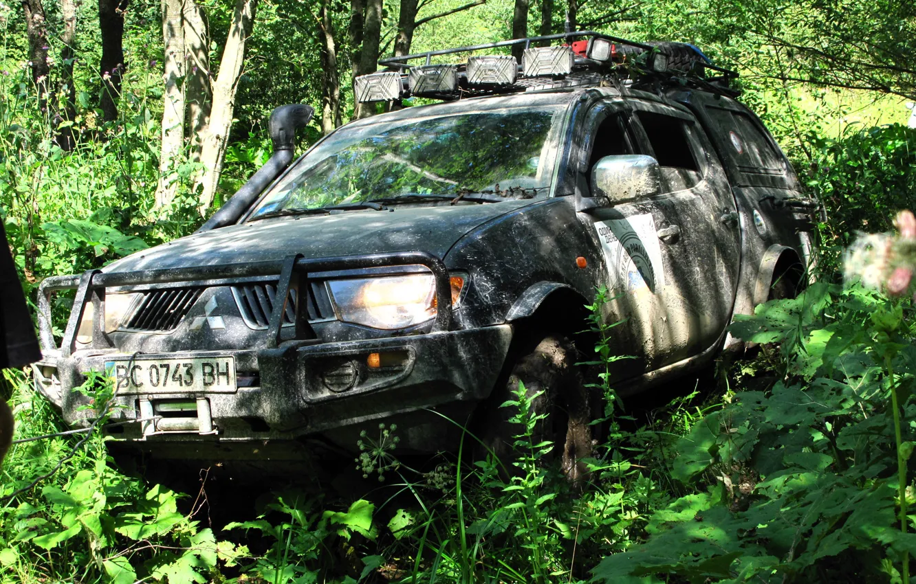 Photo wallpaper forest, thickets, Mitsubishi, The roads