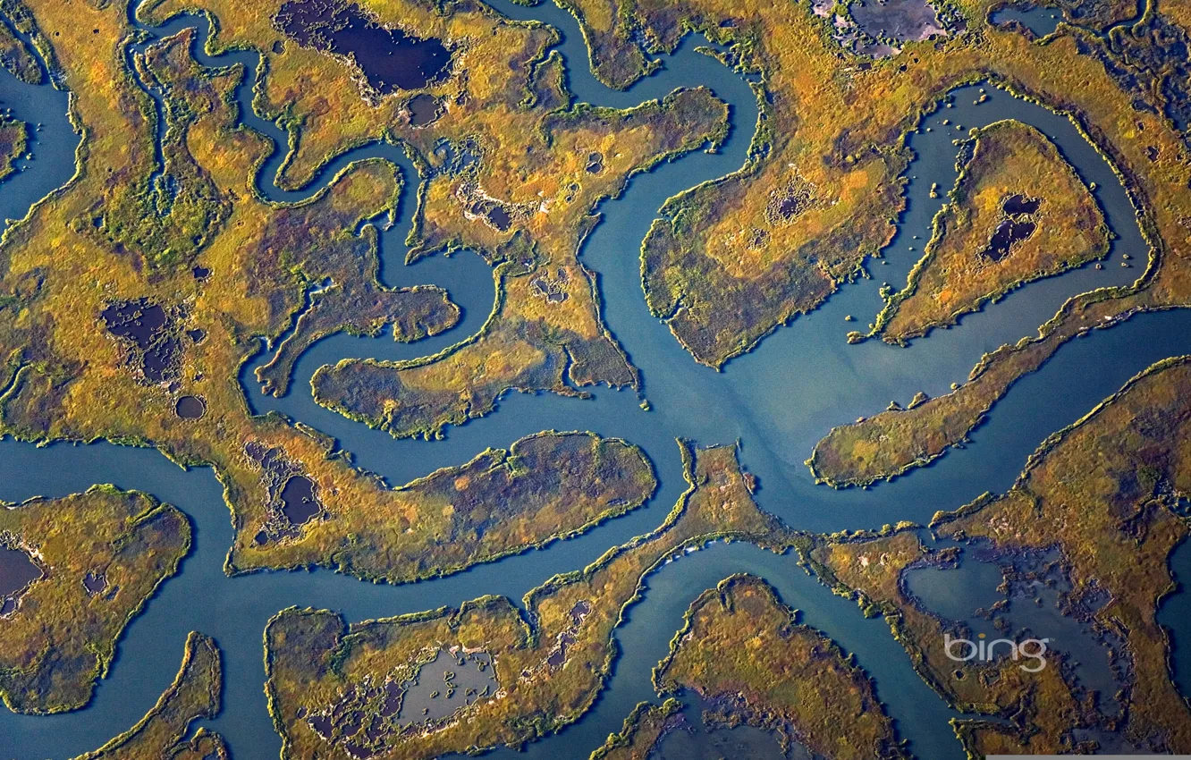 Photo wallpaper river, island, swamp, USA, New Jersey, Cape May Peninsula