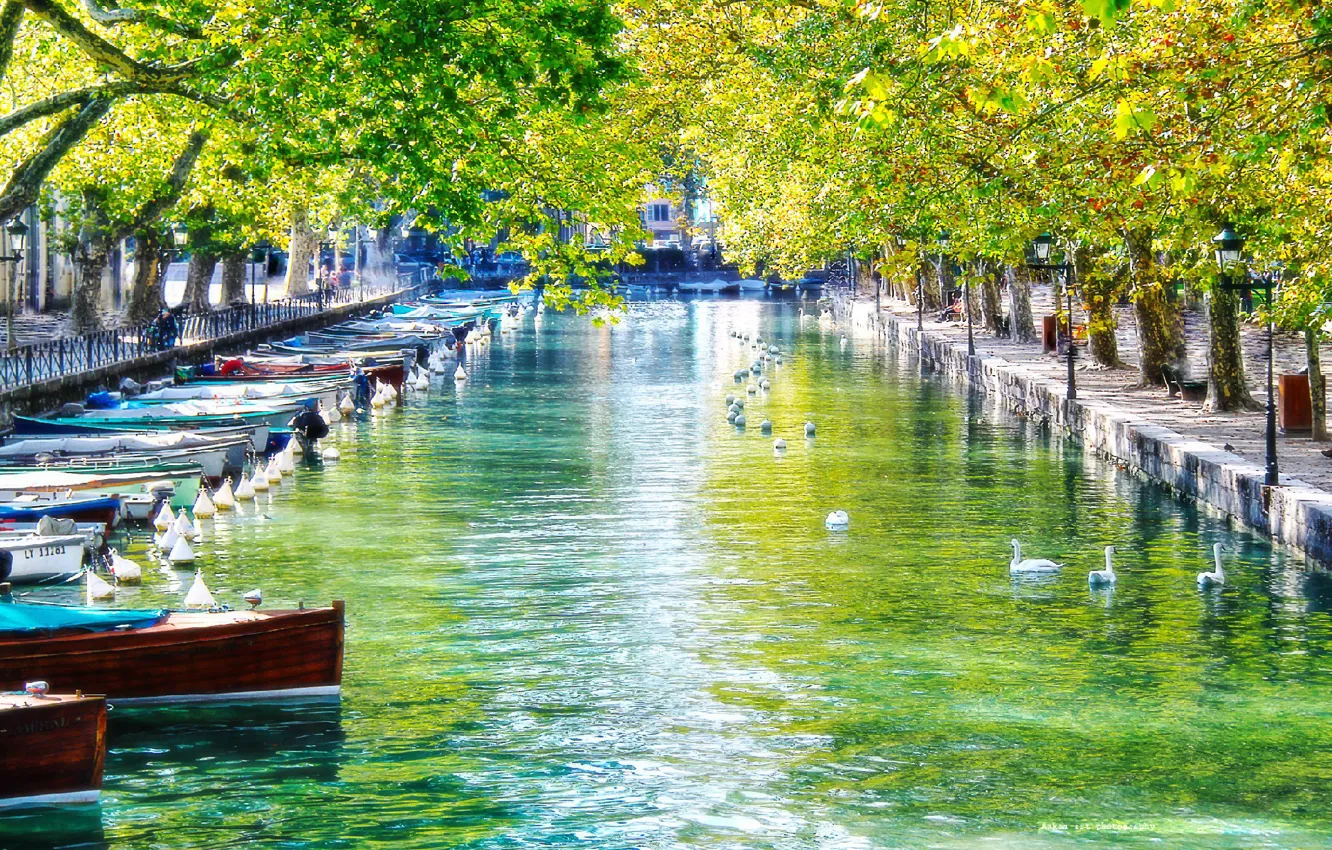 Photo wallpaper swans, channel, Annecy, France, boat
