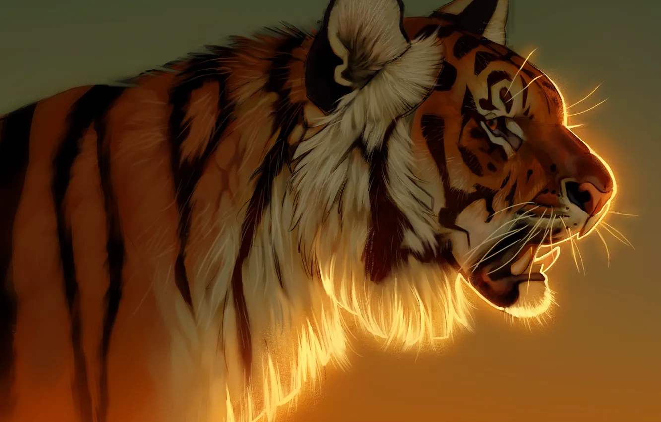 Photo wallpaper look, face, light, tiger, background, figure, portrait, art