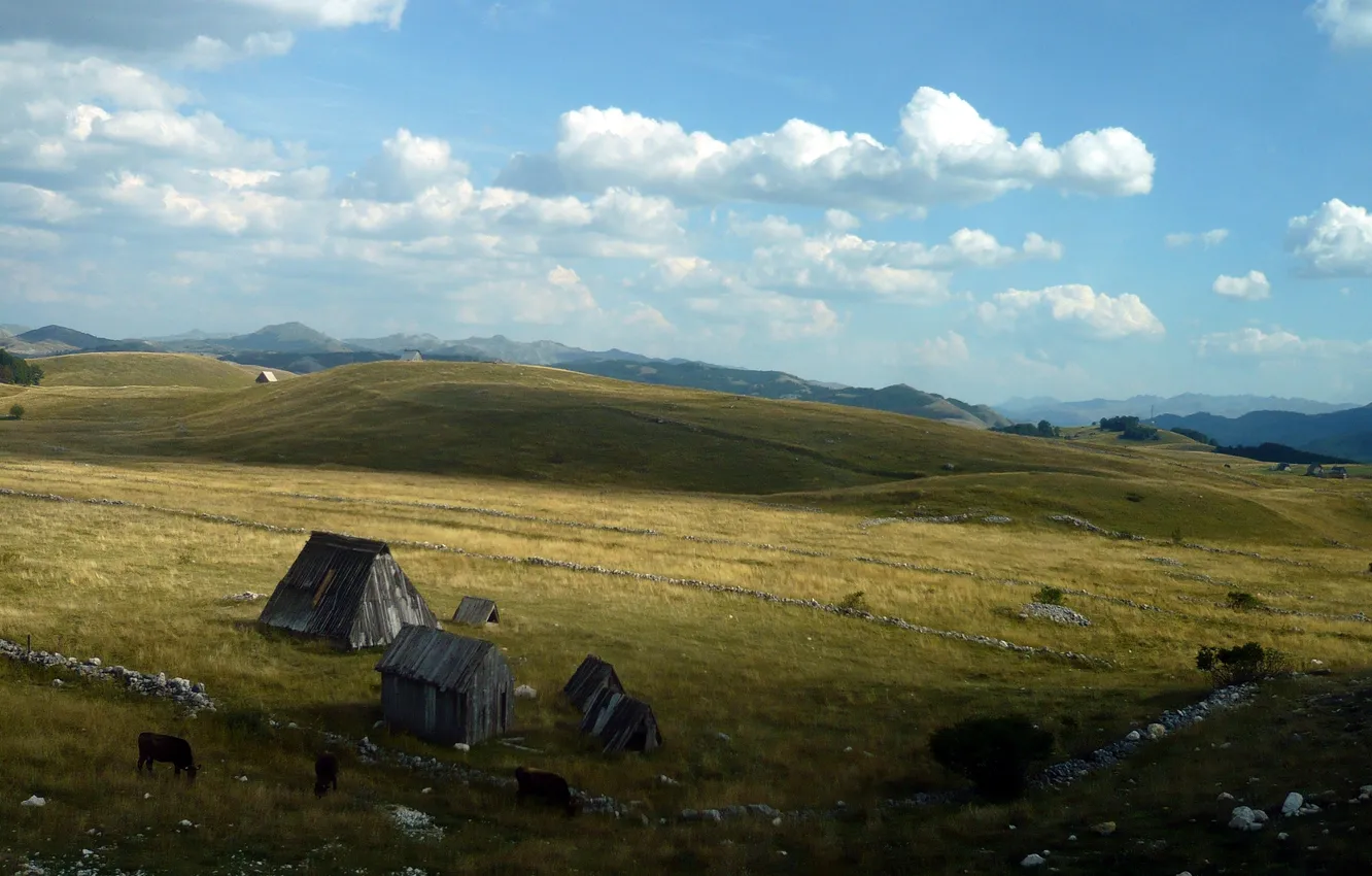 Photo wallpaper mountains, pasture, meadow