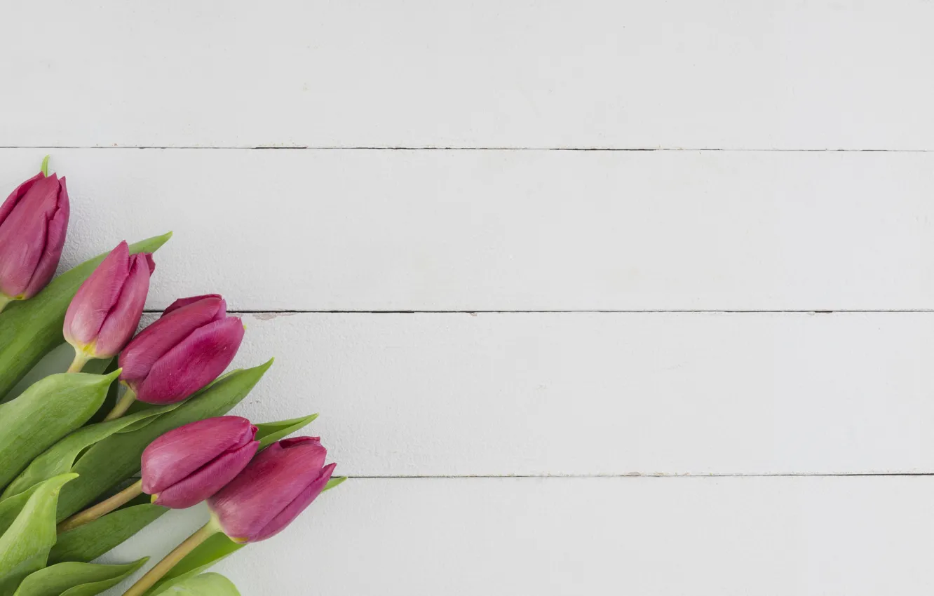 Photo wallpaper white, flowers, background, bouquet, tulips, wood