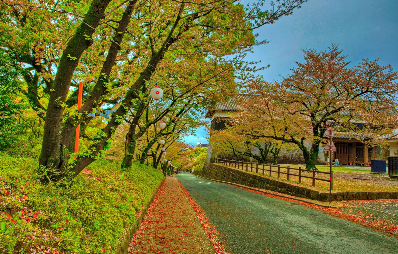 Photo wallpaper autumn, Park, photo, Japan, Kumamoto