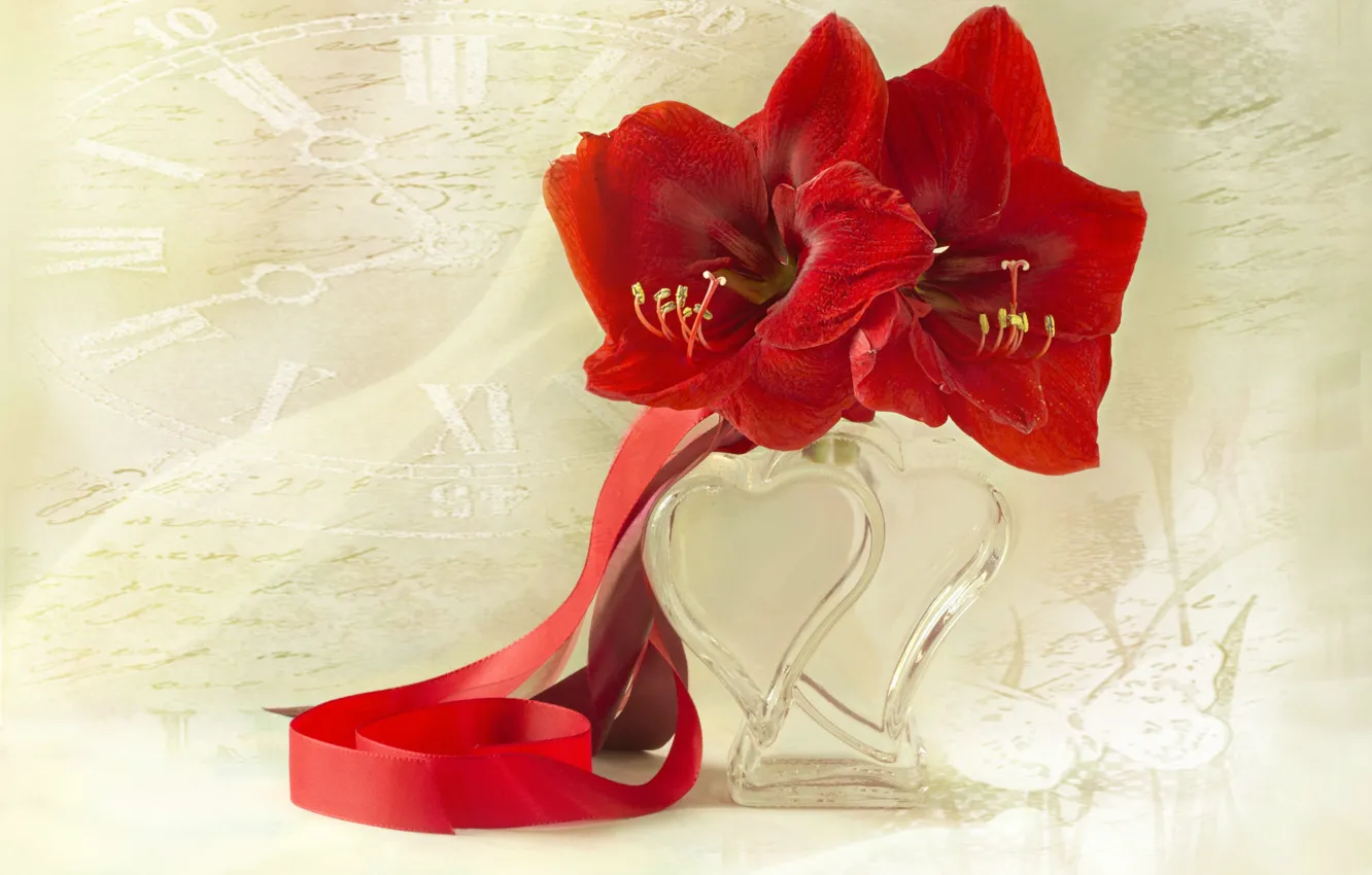 Photo wallpaper red, bouquet, bottle, still life, Amarilis, hypeastrum