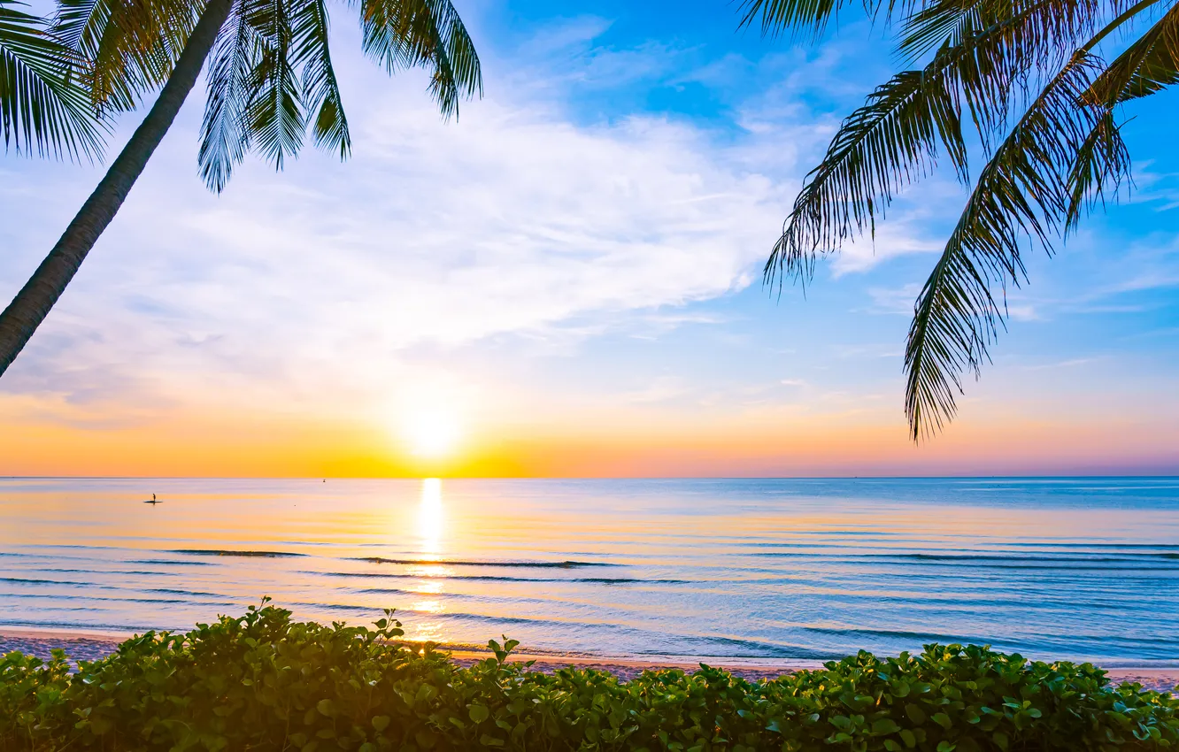 Photo wallpaper sand, sea, beach, summer, the sky, palm trees, summer, beach
