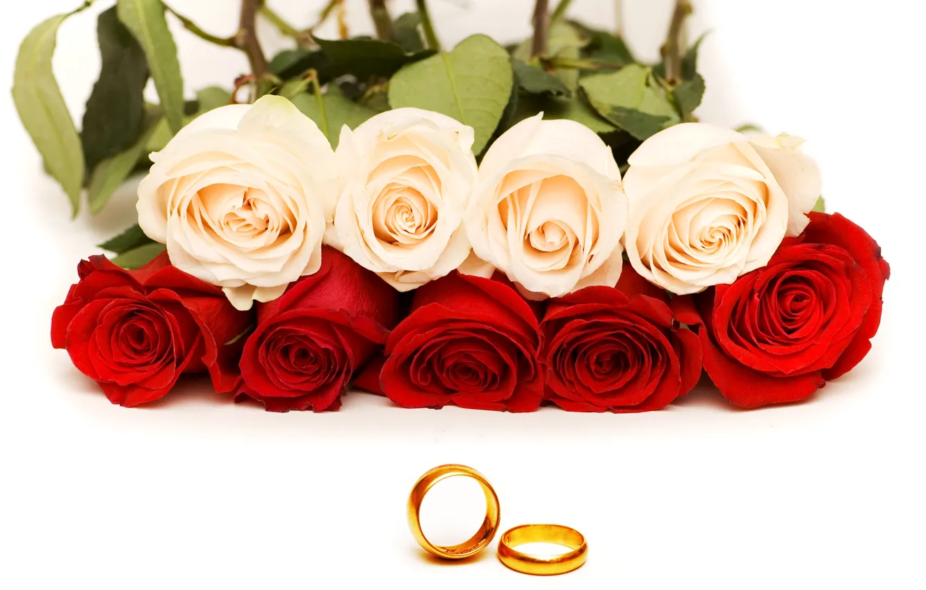 Photo wallpaper flowers, photo, roses, ring
