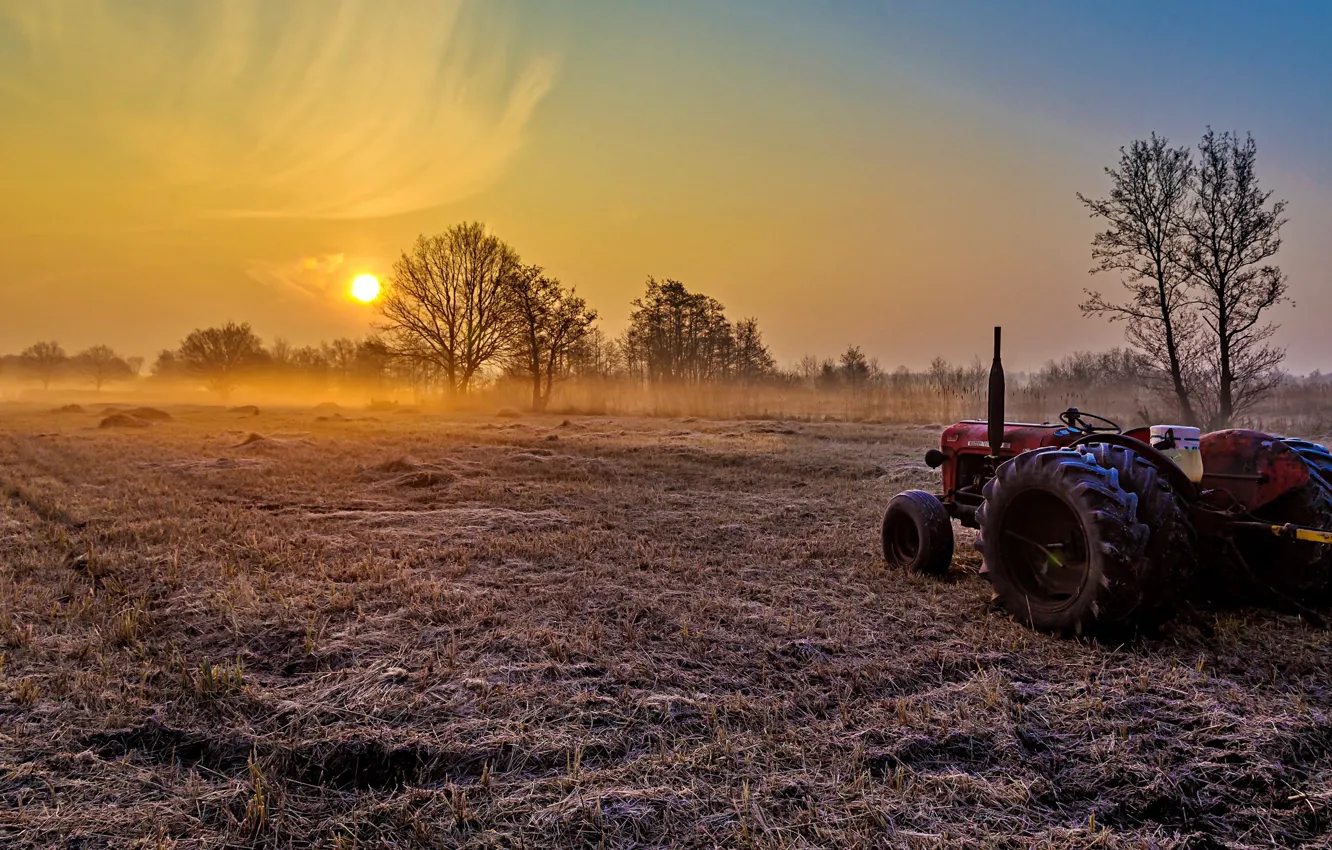 Photo wallpaper field, light, fog, morning, tractor