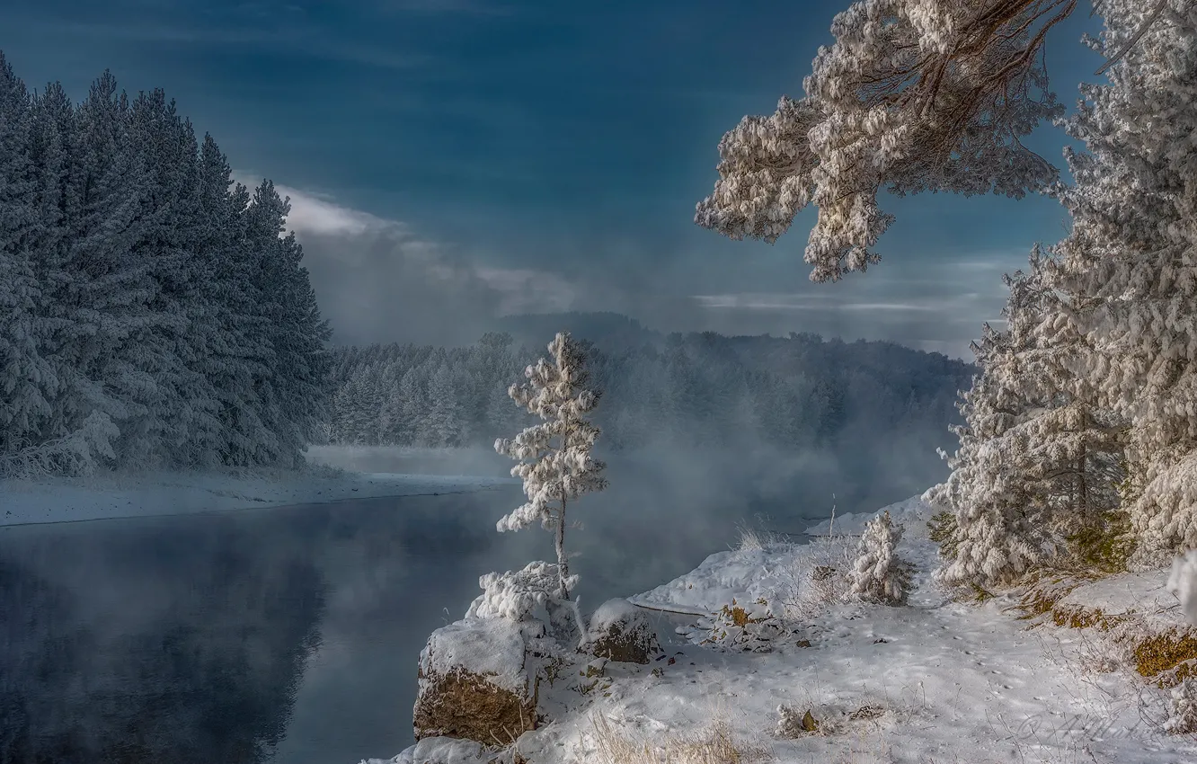 Photo wallpaper winter, snow, trees, river, frost, Russia, Siberia, Enisey