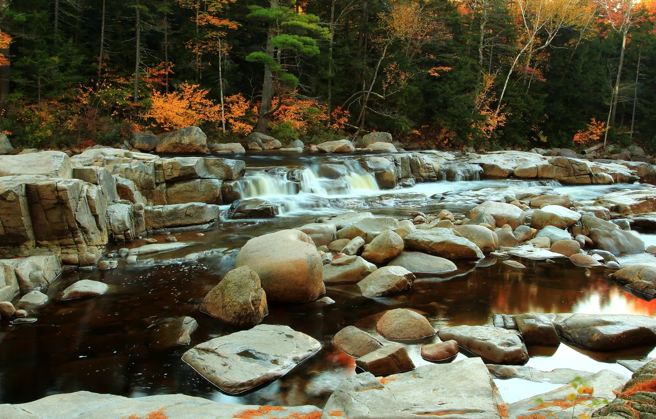 Photo wallpaper autumn, water, trees, river, stones, stream, river, trees