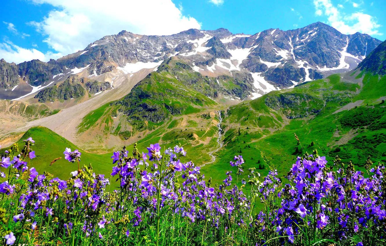 Photo wallpaper the sky, clouds, flowers, mountains, Alps