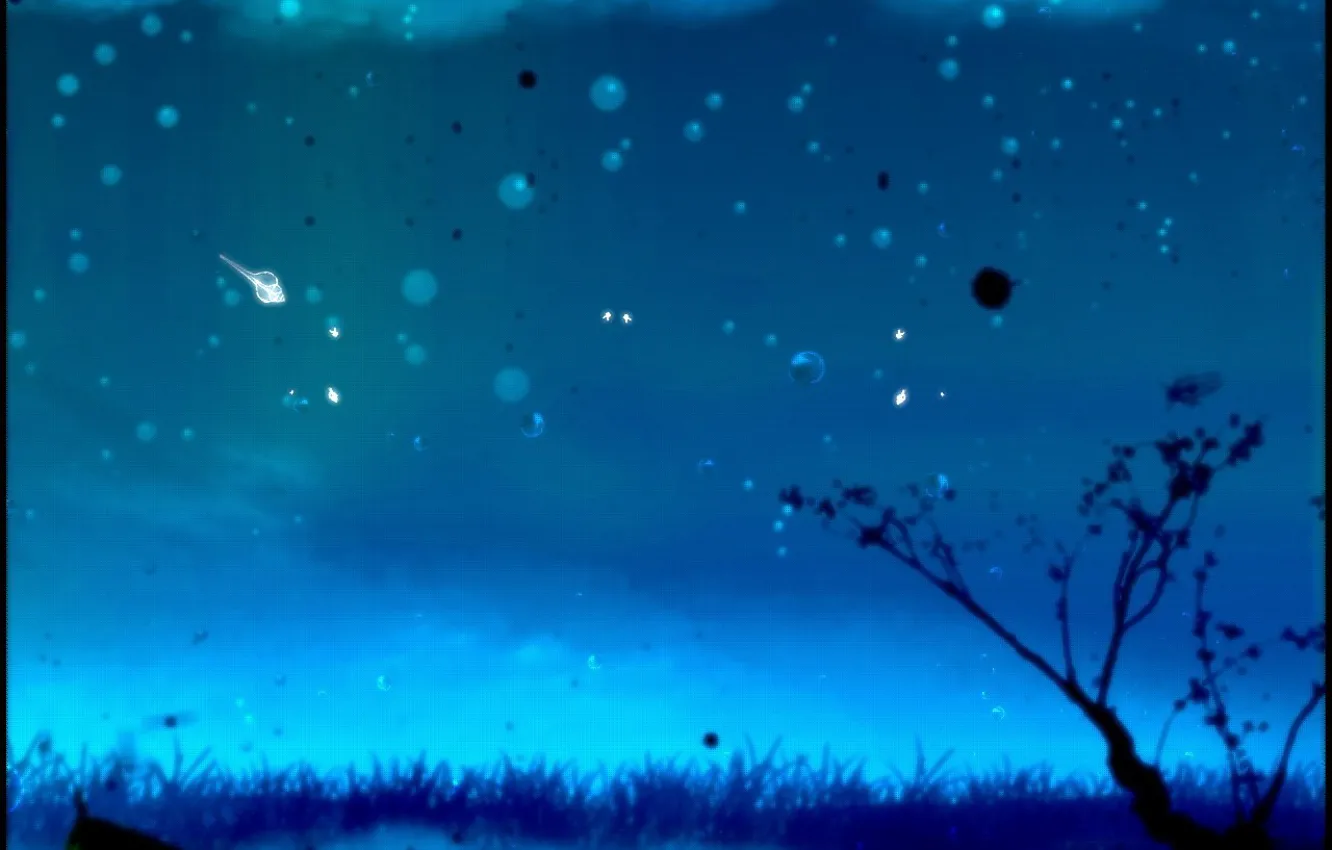 Photo wallpaper branches, glare, picture