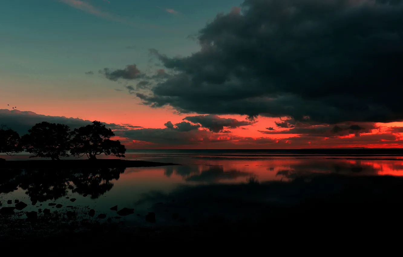 Photo wallpaper sunrise, Australia, Nudgee Beach