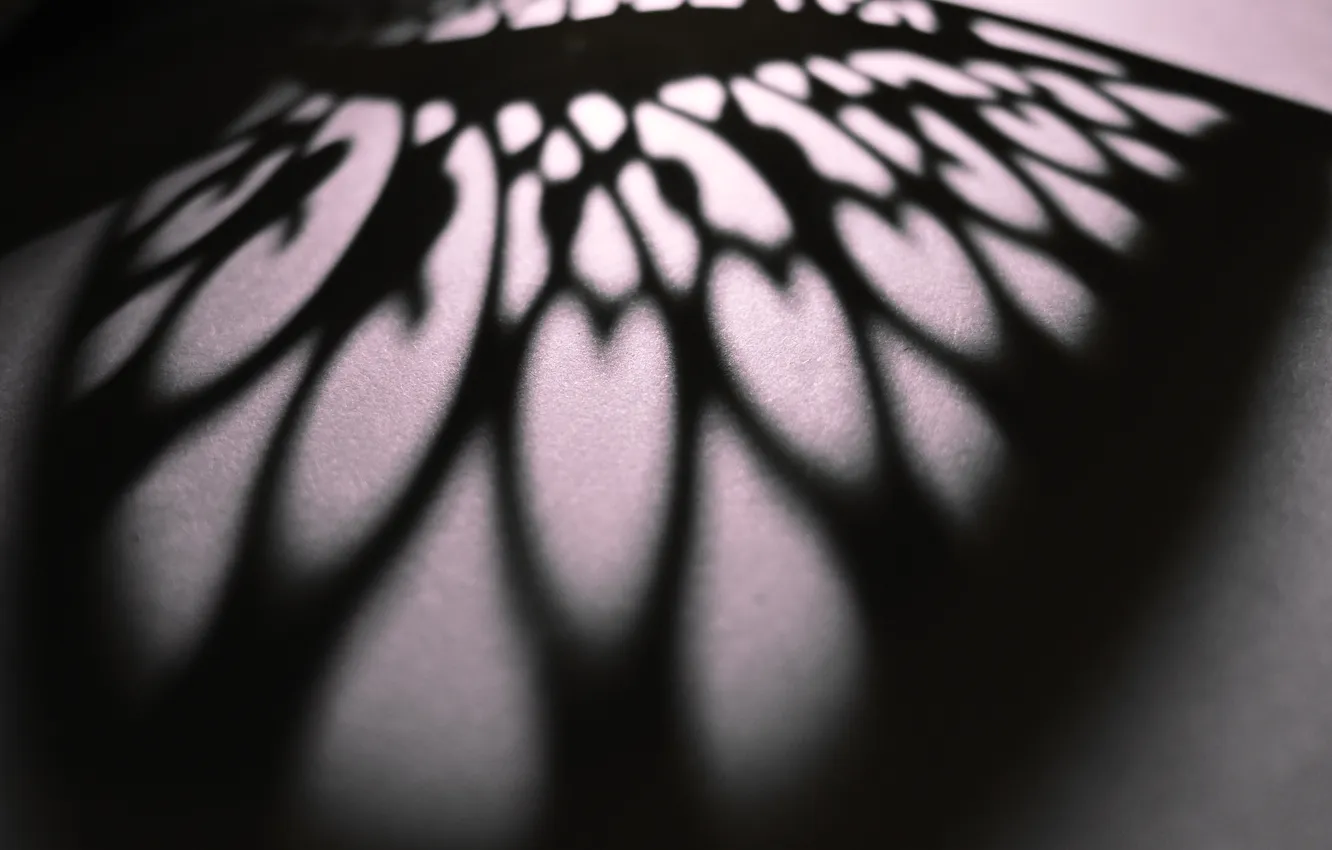 Photo wallpaper paper, dark, shadow, different