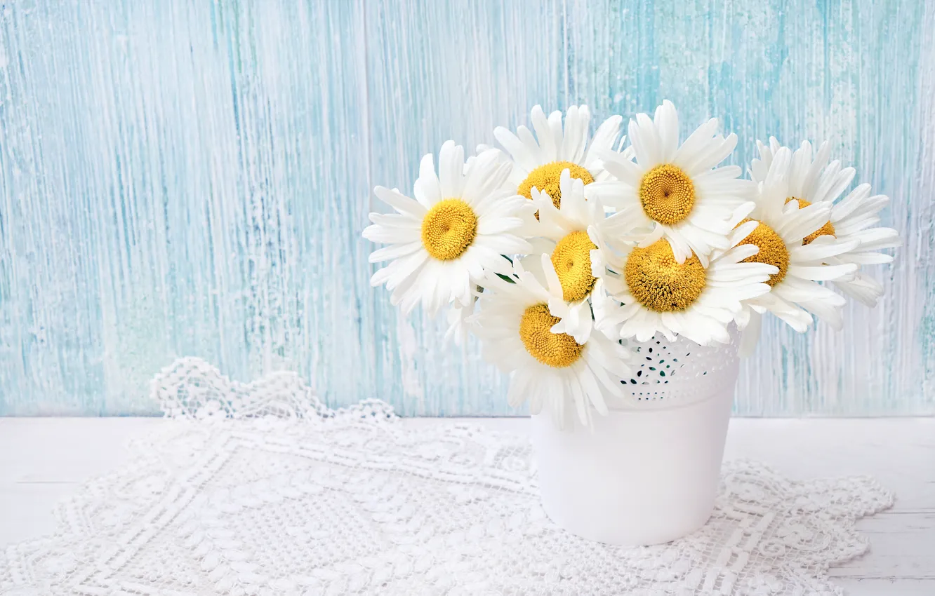 Photo wallpaper flowers, chamomile, bouquet, pots