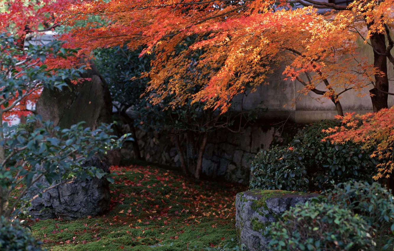 Photo wallpaper autumn, Japan, garden