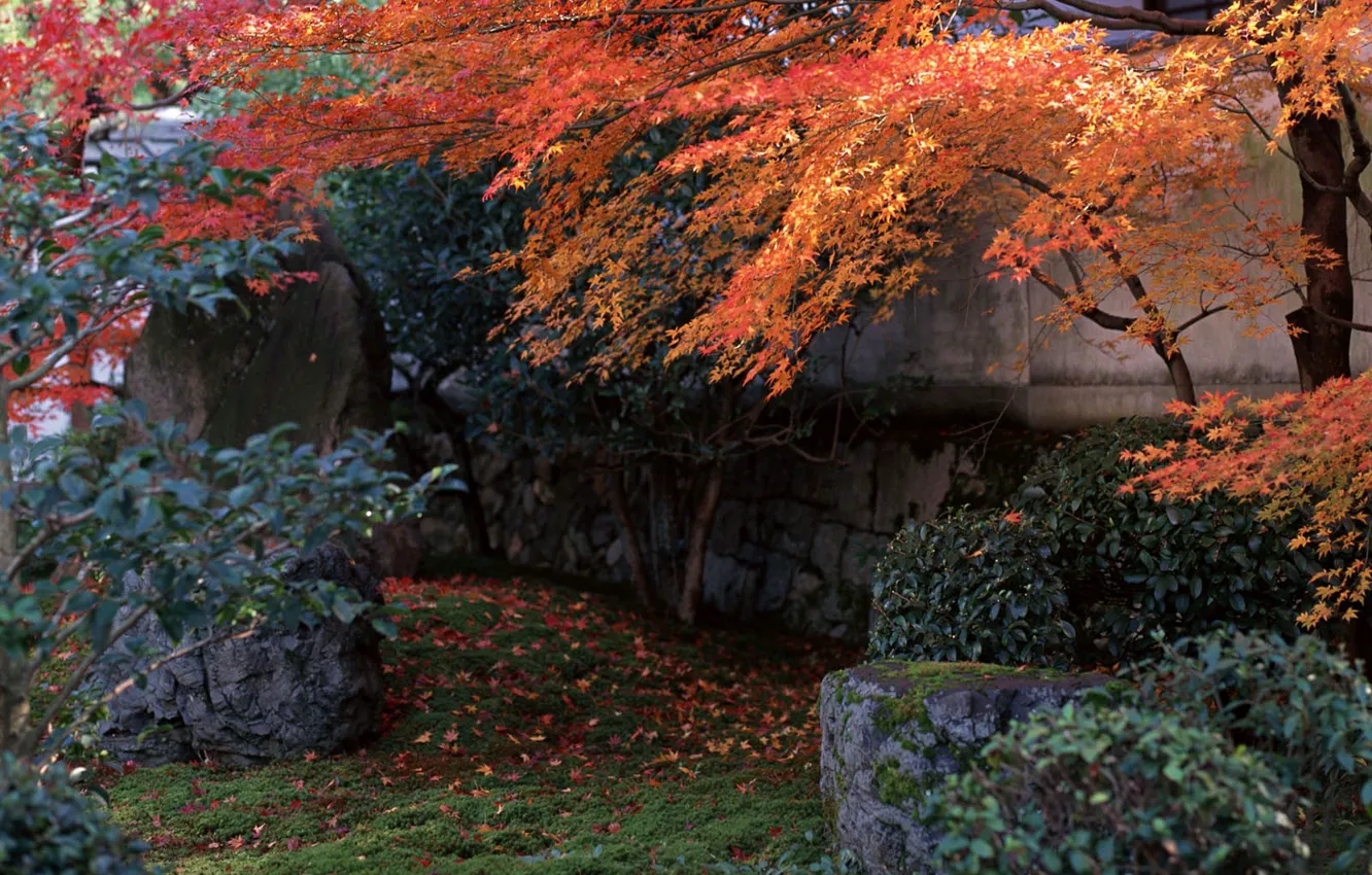 Photo wallpaper Autumn, Japan, Garden