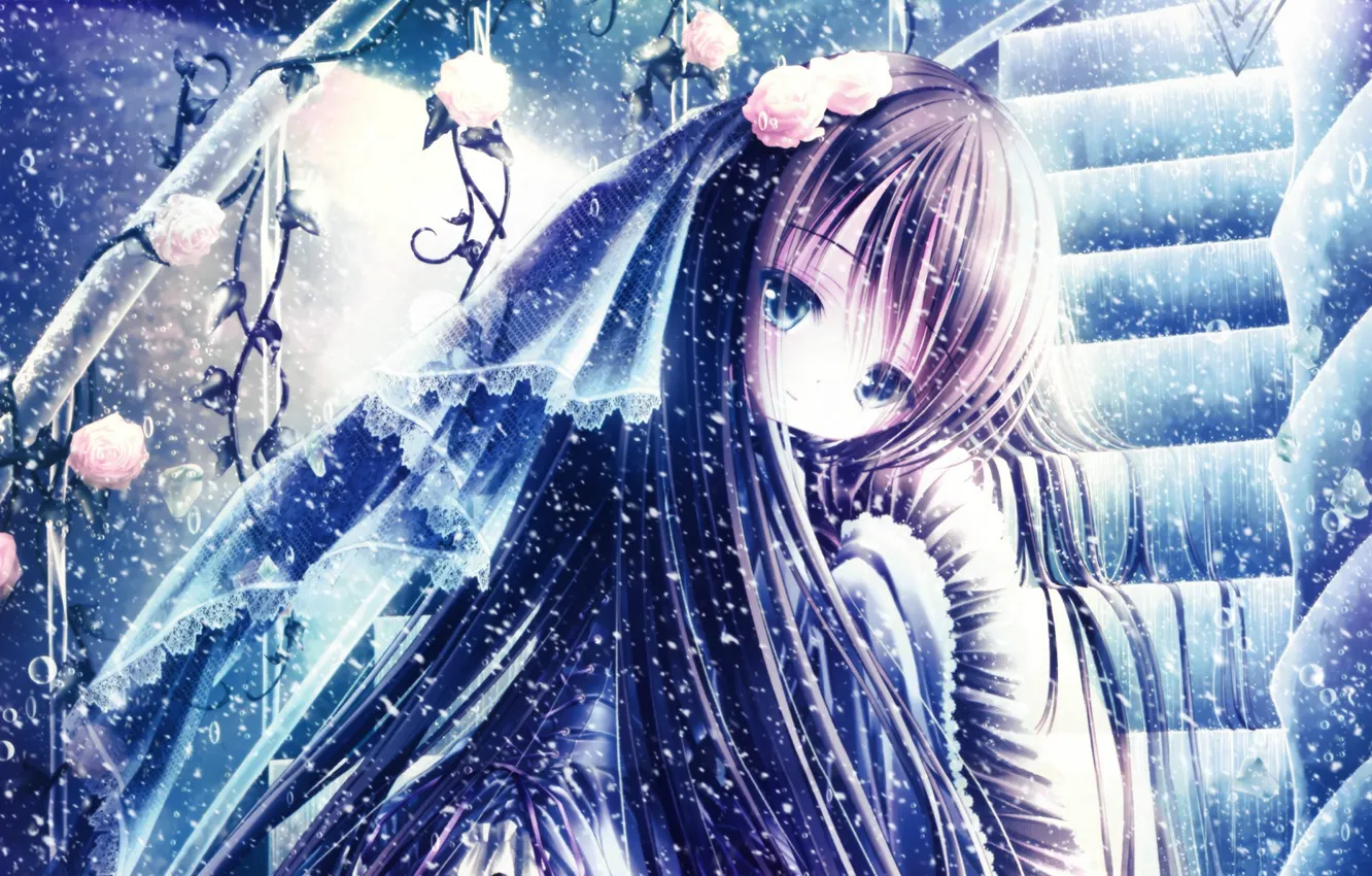 Photo wallpaper snow, roses, ladder, railings, the bride, veil, long hair, art