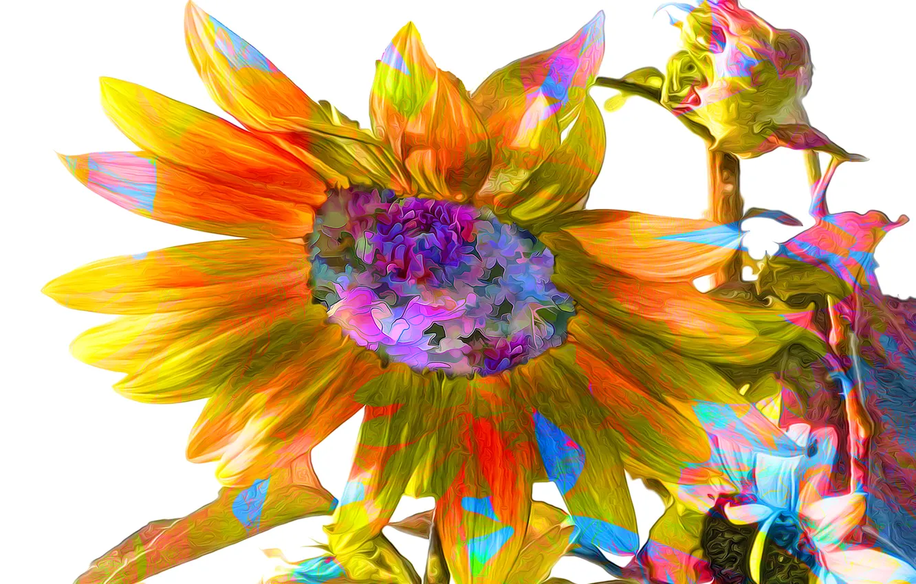 Photo wallpaper line, sunflowers, flowers, paint, petals