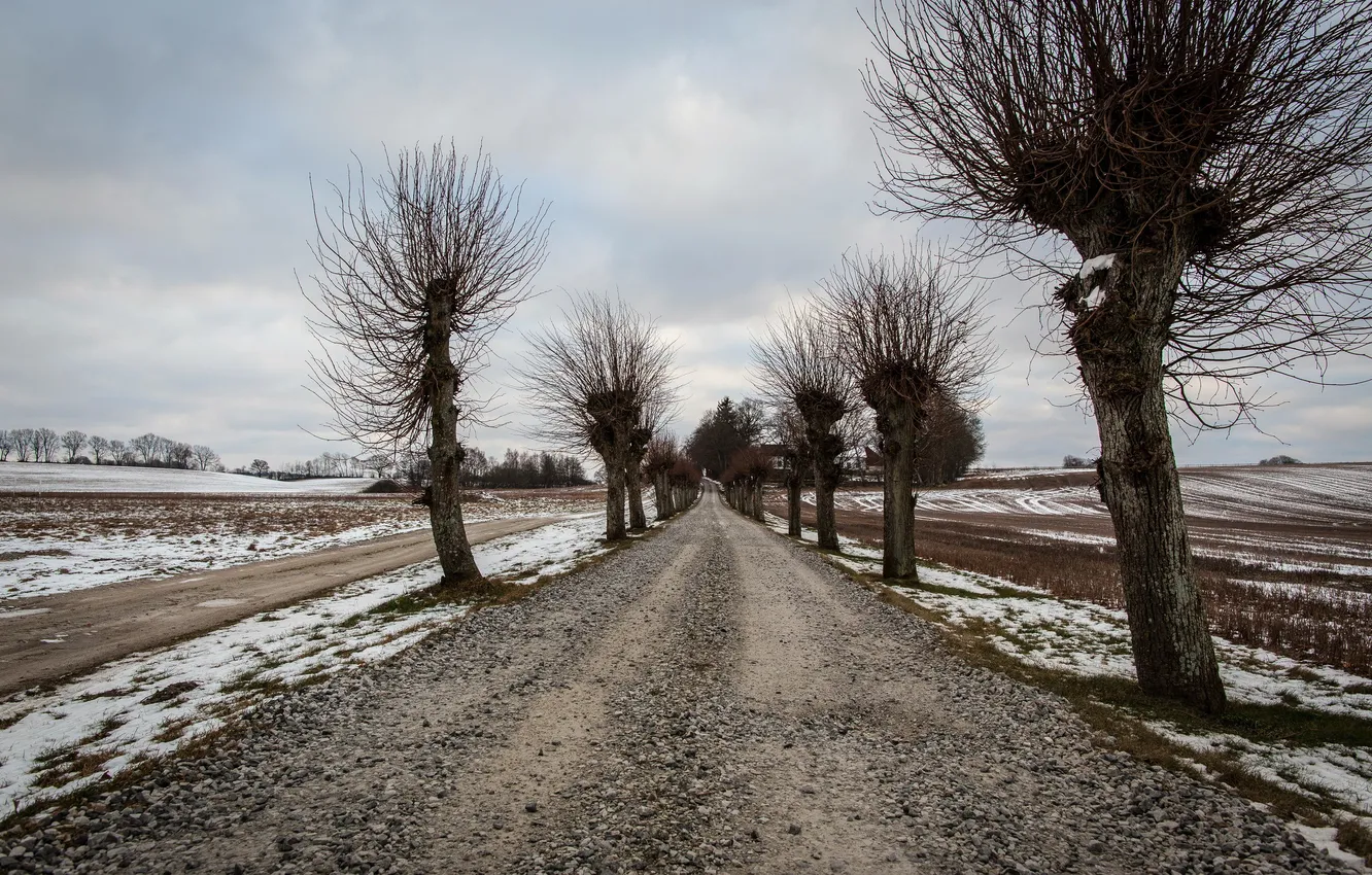 Photo wallpaper road, autumn, trees, landscape
